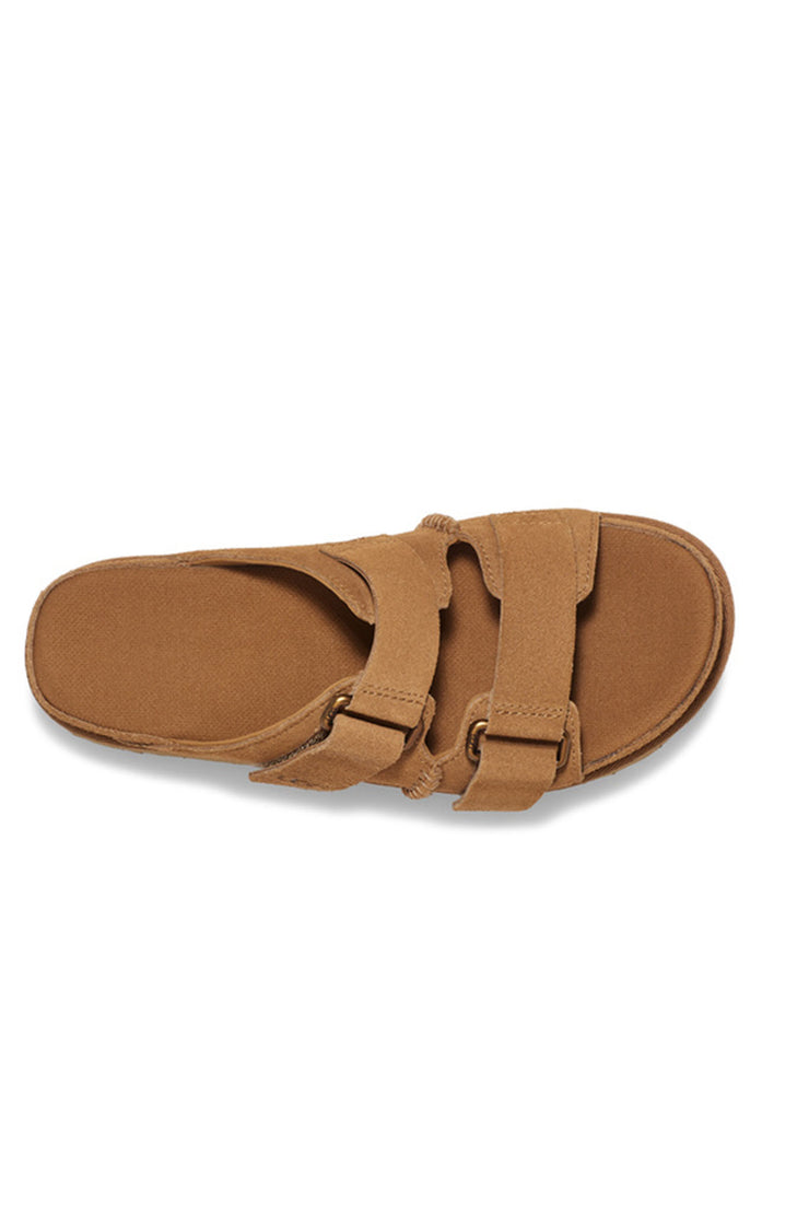 W Goldenstar Hi Slide - Chestnut