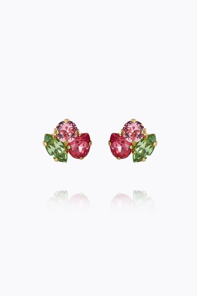 Ana Earrings - Tropicana Combo