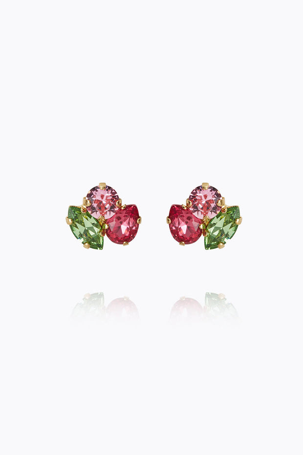 Ana Earrings - Tropicana Combo