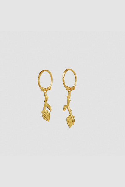 Rory Earrings