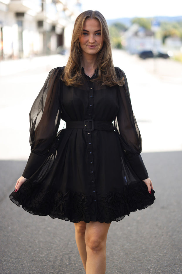 Organza Mini Dress