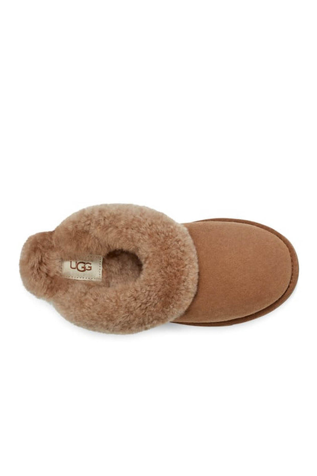 W Classic Slipper II - Chestnut